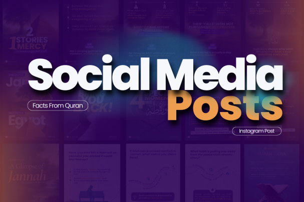 1 flow Portfolio-Images